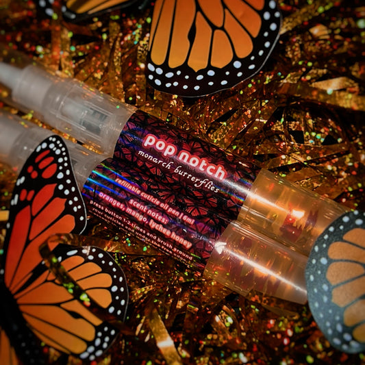 monarch butterflies ⋆.ೃ࿔*:･